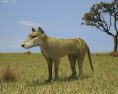Thylacine Low Poly 3D-Modell