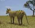 Thylacine Low Poly Modello 3D