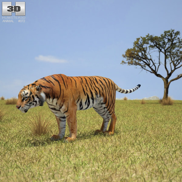 Tiger Low Poly 3D model