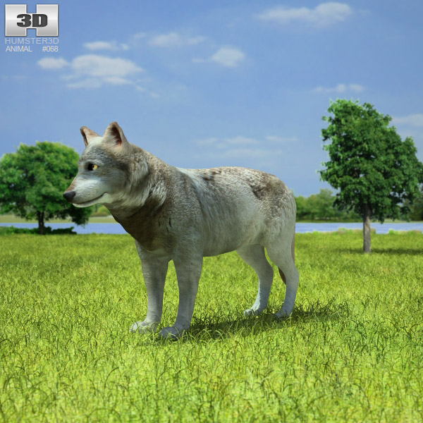 Wolf Low Poly Modelo 3D