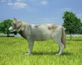 Wolf Low Poly 3D-Modell