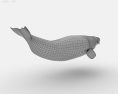 Beluga whale Low Poly 3D模型