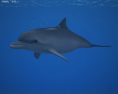 Common Bottlenose Dolphin Low Poly Modelo 3d