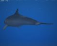 Common Bottlenose Dolphin Low Poly Modello 3D