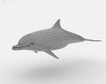 Common Bottlenose Dolphin Low Poly 3D 모델 