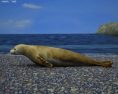 Crabeater Seal Low Poly 3d model