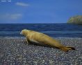 Crabeater Seal Low Poly 3d model