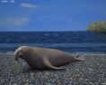 Elephant Seal Low Poly 3d model