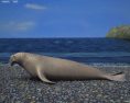 Elephant Seal Low Poly Modello 3D