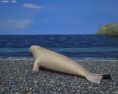 Elephant Seal Low Poly 3D-Modell
