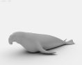 Elephant Seal Low Poly Modèle 3d