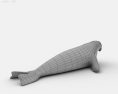 Elephant Seal Low Poly Modelo 3D