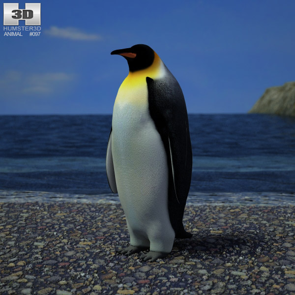 Emperor penguin Low Poly 3D model
