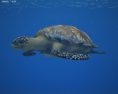 Hawksbill sea turtle Low Poly 3Dモデル