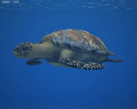 Hawksbill sea turtle Low Poly 3D模型