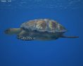 Hawksbill sea turtle Low Poly Modèle 3d