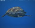 Hawksbill sea turtle Low Poly Modelo 3D