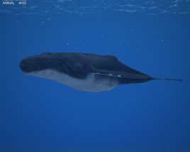 Humpback whale Low Poly 3D-Modell
