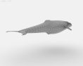 Humpback whale Low Poly 3D модель