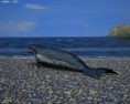 Leopard Seal Low Poly 3D-Modell