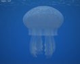 Jellyfish Low Poly Modèle 3d