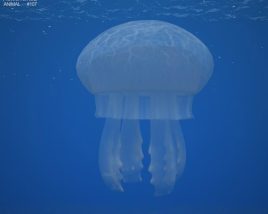Jellyfish Low Poly 3D model