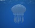 Jellyfish Low Poly 3D-Modell