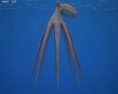 Octopus Low Poly 3D 모델 