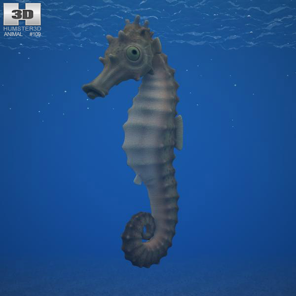 Seahorse Low Poly 3D 모델 