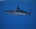 Smooth Hammerhead Shark Low Poly Modelo 3D