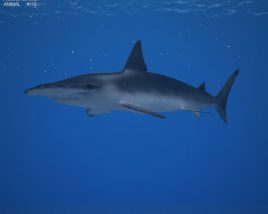 Smooth Hammerhead Shark Low Poly Modèle 3D