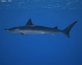 Smooth Hammerhead Shark Low Poly Modello 3D