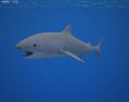 Tiger shark Low Poly 3D модель