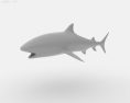 Tiger shark Low Poly Modèle 3d