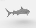 Tiger shark Low Poly Modello 3D