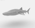 Whale shark Low Poly Modello 3D