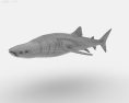 Whale shark Low Poly Modèle 3d