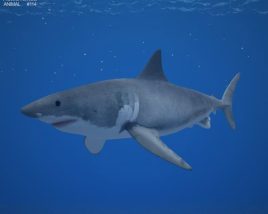 Great White Shark Low Poly 3D模型
