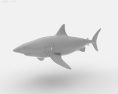 Great White Shark Low Poly 3D-Modell