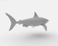 Great White Shark Low Poly Modèle 3d