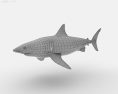 Great White Shark Low Poly Modèle 3d