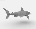 Great White Shark Low Poly Modello 3D