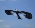 Andean Condor Low Poly Modello 3D