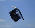 Andean Condor Low Poly 3Dモデル