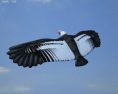 Andean Condor Low Poly 3D-Modell