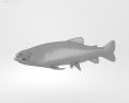 Atlantic salmon Low Poly Modello 3D