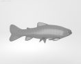 Atlantic salmon Low Poly Modelo 3D