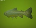Brook Trout Low Poly 3D-Modell