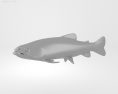 Brook Trout Low Poly 3D模型