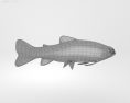 Brook Trout Low Poly 3Dモデル